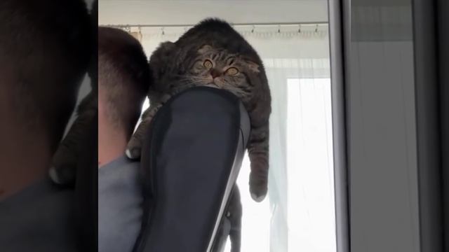 Мне уже этот мир абсолютно понятен…