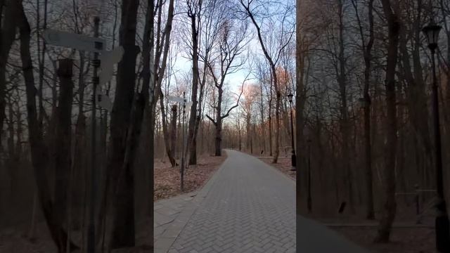 Останкинский парк пение птиц