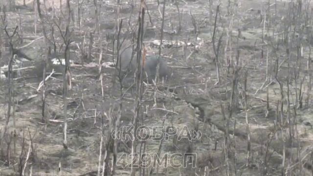 Кадры наступательных действий в Запорожской области.