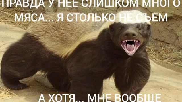 МЕДОЕД В КАМЕННОУГОЛЬНОМ ПЕРИОДЕ ПРИКОЛЫ С МЕДОЕДОМ