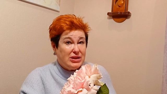 Солнечное затмение в Овне начало пути