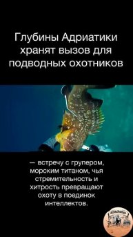 🌊 Глубины Адриатики хранят вызов для подводных охотников — встречу с групером🐠