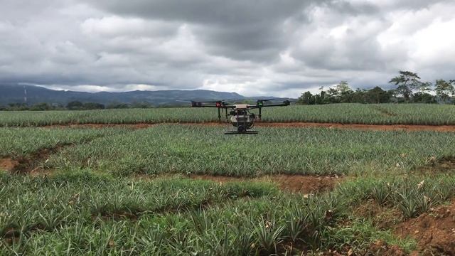 DJI Agras MG-1S Pina testing more info and sale at scorpion drones