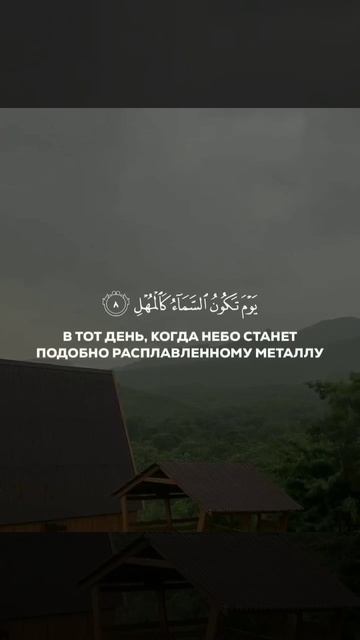 VID_20250326_054717_096.mp4