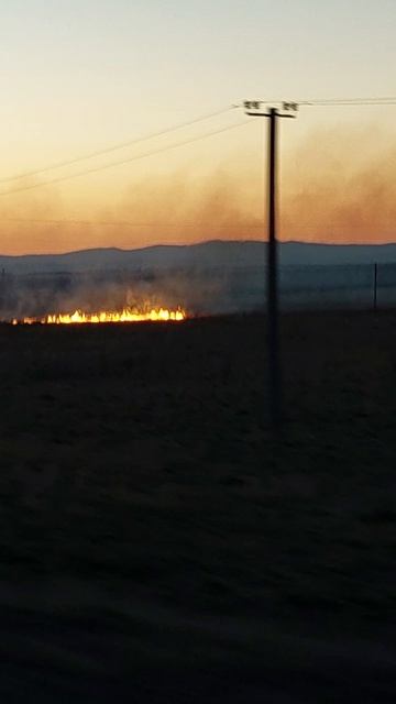 Закат на 24.03.2025.год змеи 🐍.