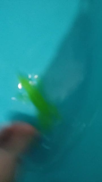 scene_output.mp4