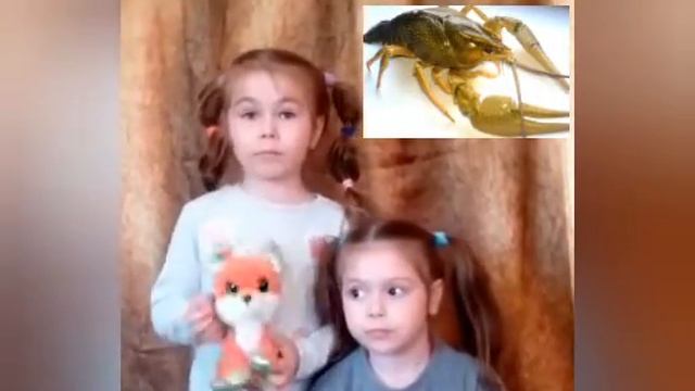 Суперзагадки с подвохом для детей ..mp4