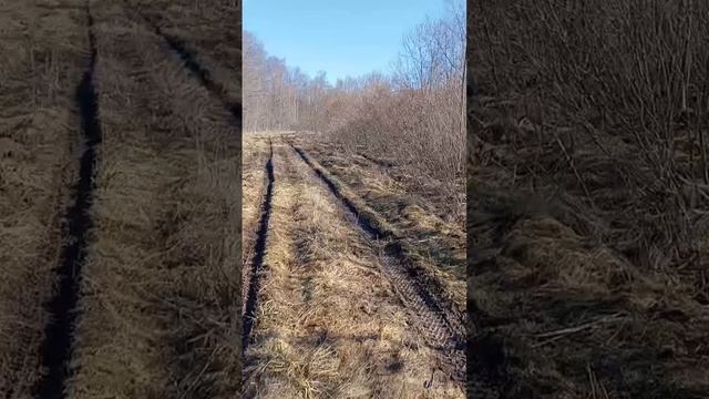 Утки прилетели на ручьи! Жара!