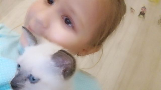 10000 кот на день рождения