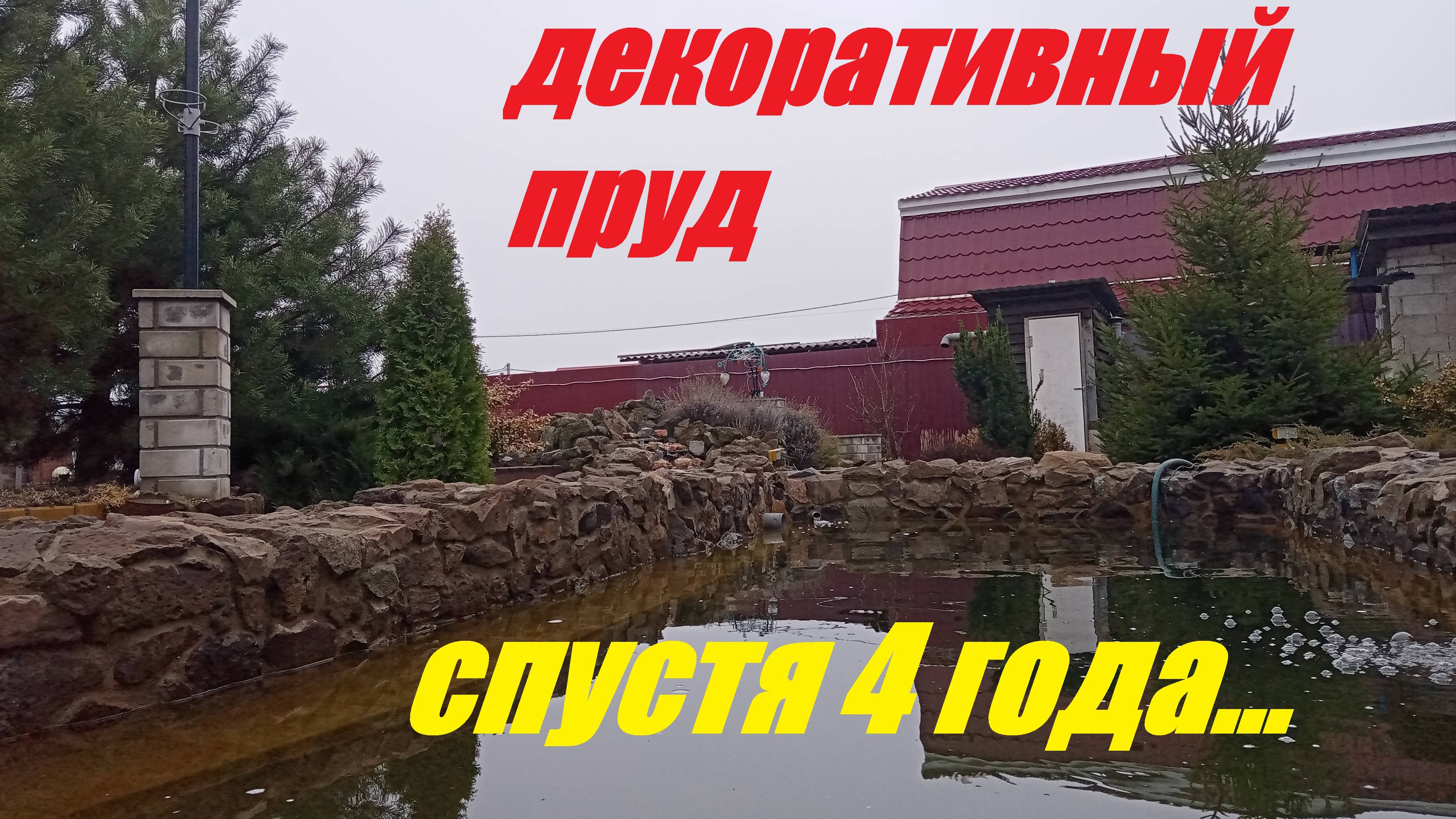 Декоративный пруд.  Спустя 4 года.