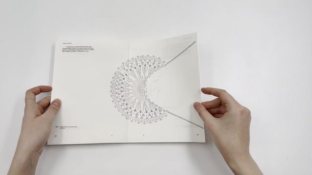 Визуальное исследование чепчика