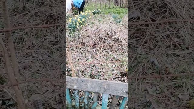 Первое видео