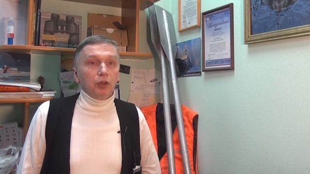 Они помогают аквалангистам! Новые факты о серых и гренландских тюленях