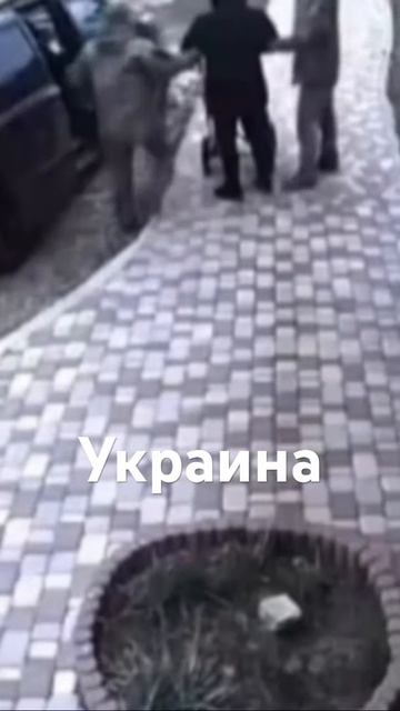 Мобилизация на Украине теряет человеческий облик.Март 2025 г.