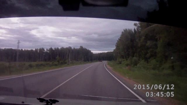лось под Клином