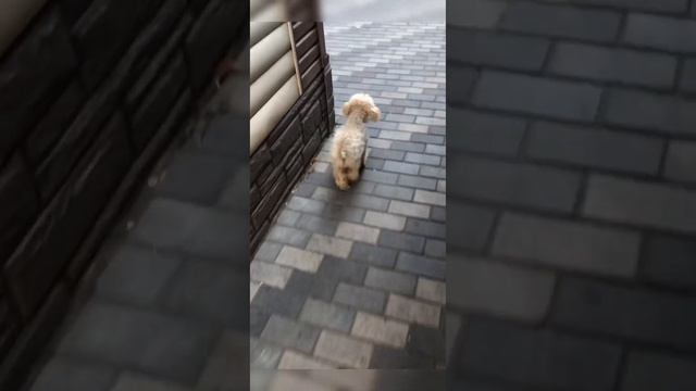У нас гости🥰, хоть и маленький, но у него тоже есть душа❤️❤️❤️