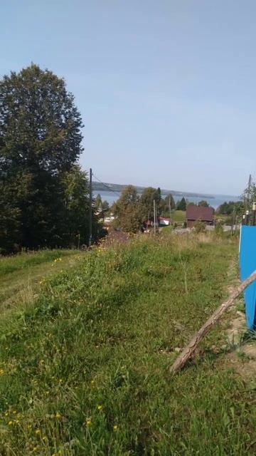 VID_20250327_151129_185
