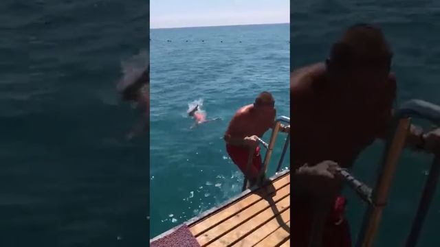 31 октября 2017 г.