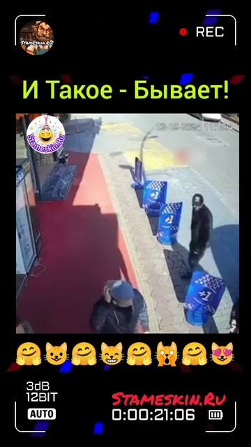 И такое - Бывает!🤗🙀