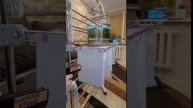 Проверяю Пистолет