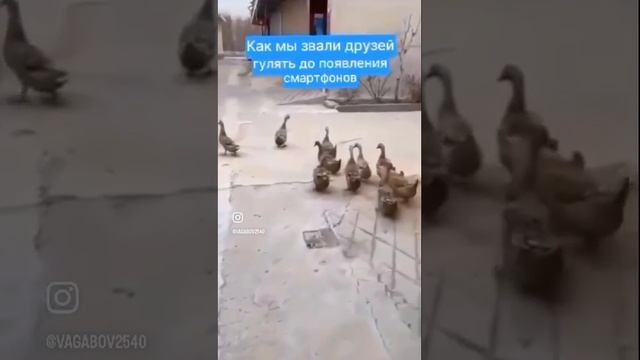 27-03-2025 как мы звали друзей без смартфона
