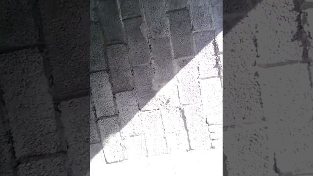 Заброшенный дом в кугесях
