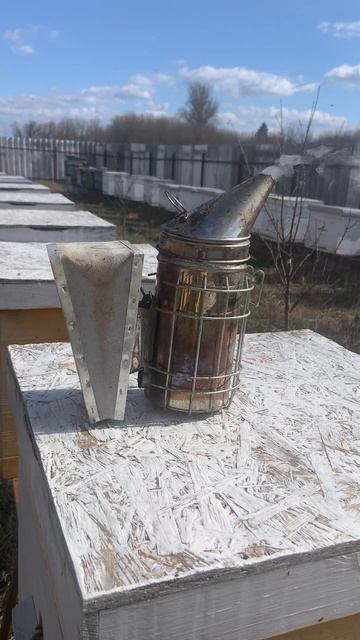 Начало пасечного сезона
