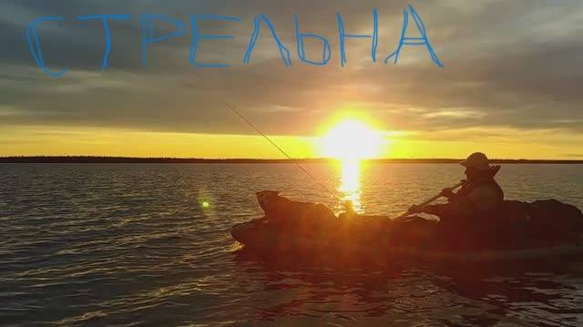 Кольский Стрельна Чаваньга