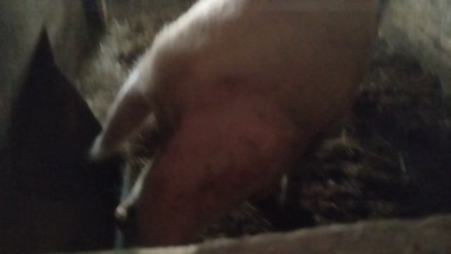 дом за городом 3 часть