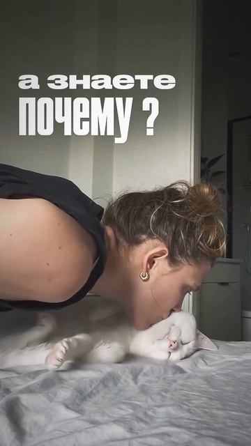 Почему люди имеющие кошек живут дольше на 10 лет....
