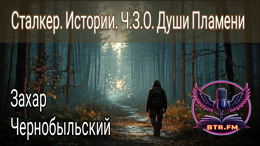 АУДИОКНИГА. ЛИТРЕС. СТАЛКЕР. ИСТОРИИ Ч.З.О. ДУШИ ПЛАМЕНИ. Саня БтрЪ (Студия BTR_FM)
