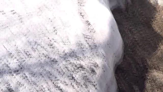 Пьём талую воду