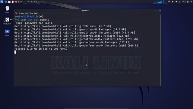 Руководство по Kali Linux