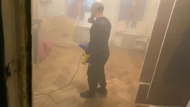 Уничтожение муравьев методом холодного тумана
