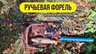 | Микро речка | Форель Ленинградская область |