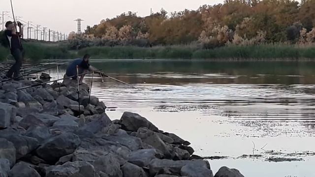Южное
