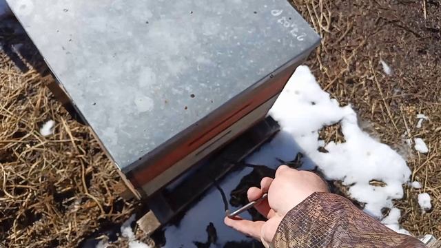 сезон 2025 открыт