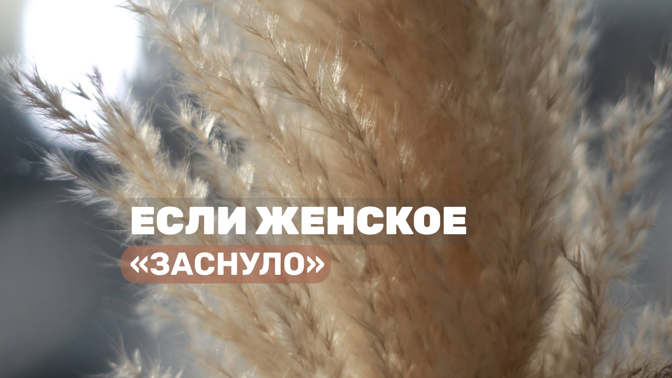 ЕСЛИ ЖЕНСКОЕ 
«заснуло»