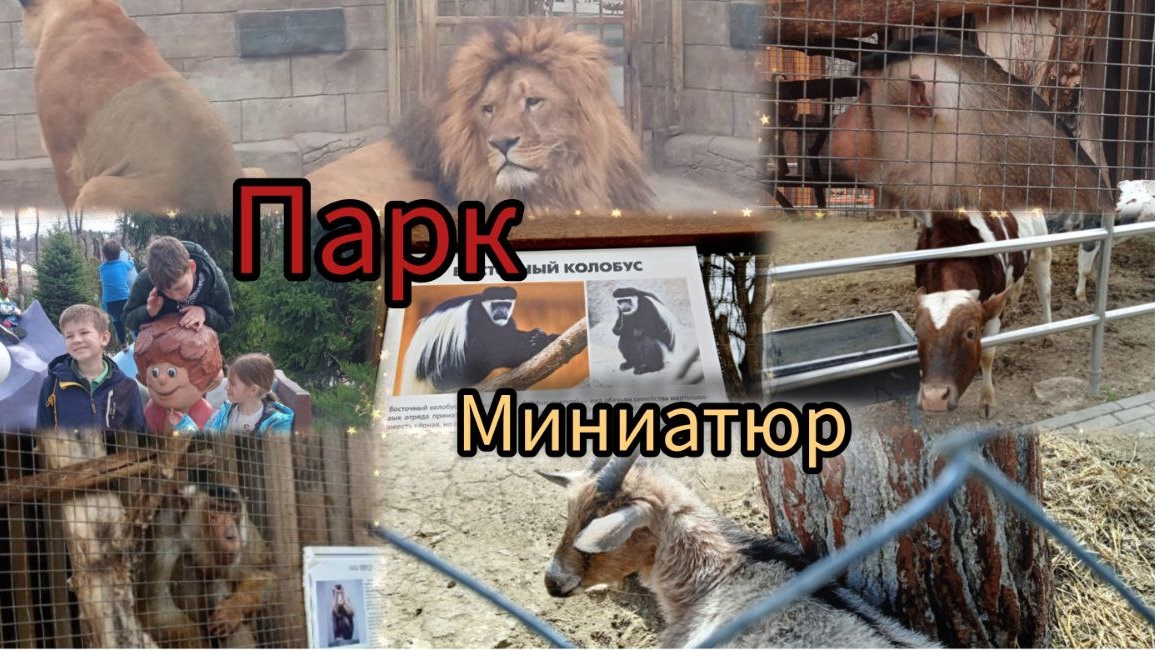 мы поехали в парк миниатюр !!!
