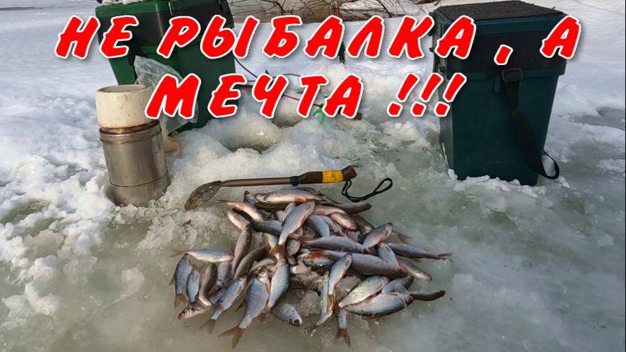 НЕ РЫБАЛКА , А МЕЧТА !!! 25 марта 2025г.