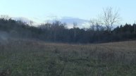 50 lb. Coyote - Coyote Hunting - East Tennessee