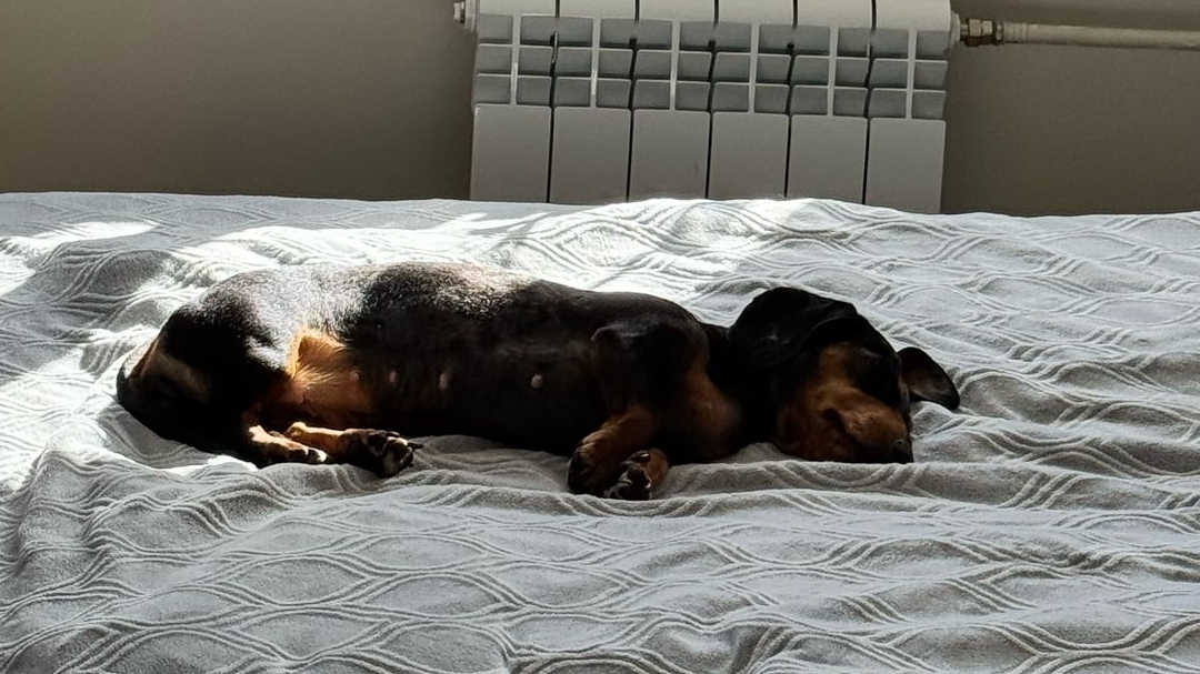 Прокачка #1 (Cabin crew simulator)