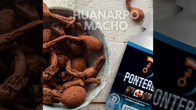 🔝💪🙋🏻♂️ CÁPSULAS PONTEREC