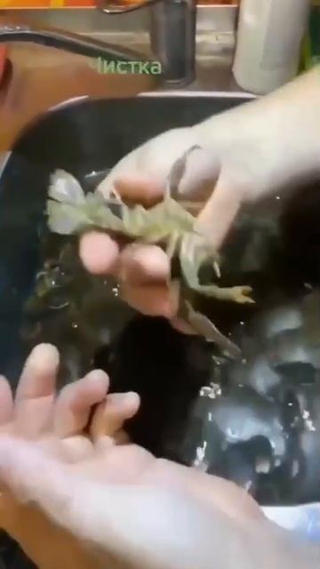 Секрет чистки раков.
