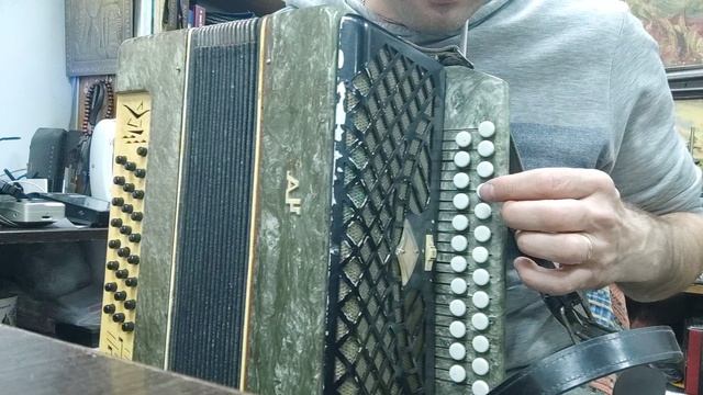 гармонь чайка