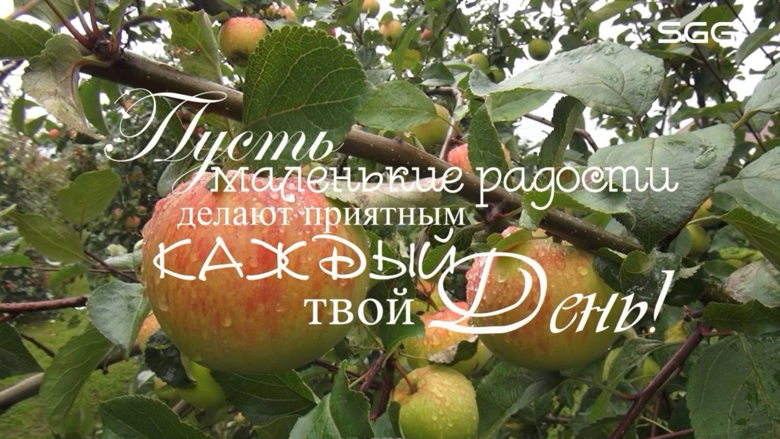 Пусть маленькие радости делают приятными каждый твой День!