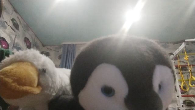 антон😍