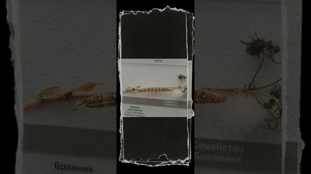 Я была сегодня в краеведческом музее:) Вот фото!!! 😍