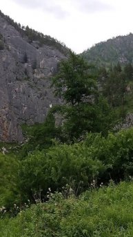 🌿 Ущелье Че-Чкыш – Тайны древних скал и дух Алтая