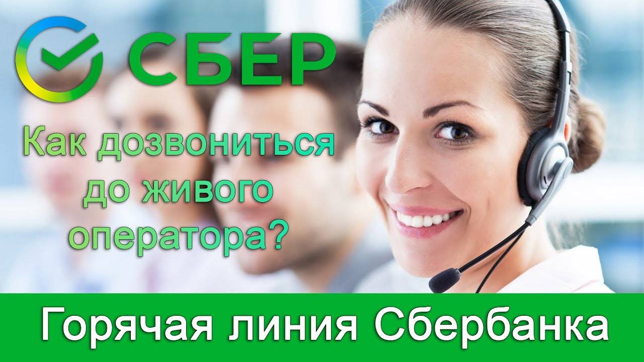 Как позвонить в Сбербанк живому оператору